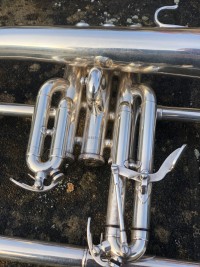 IMG_5037.jpeg
