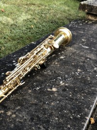 IMG_5033.jpeg
