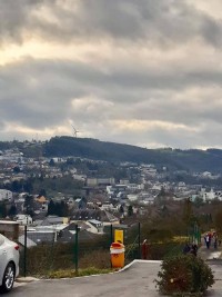 02 Wiltz GF 11.01.20.jpg