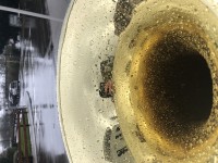 IMG_6168.jpeg