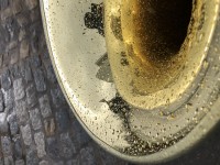 IMG_6167.jpeg