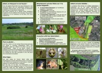 04-Flyer-Elbert-verso-D.jpg