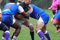 IMG_2290.jpg