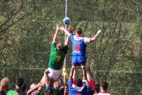IMG_2308.jpg