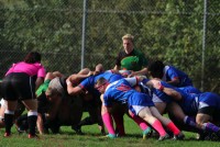 IMG_2310.jpg