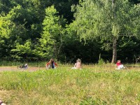 44863621-a5d3-4748-880b-b01dfffbae32 2.JPG