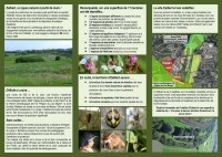 02-Flyer-Elbert-verso-Fr.jpg