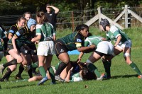 DSC_0045 (2)-min.JPG