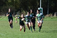 DSC_0125 (2)-min.JPG