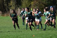 DSC_0284 (2)-min.JPG