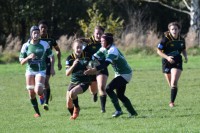 DSC_0363 (2)-min.JPG