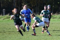 DSC_0393 (2)-min.JPG