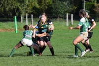 DSC_0512 (2)-min.JPG