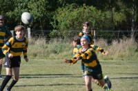 DSC_0133 (1)-min.JPG