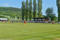 montßee3.jpg