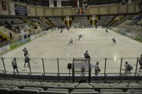 _DSC0126 (800x531).jpg