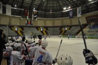 _DSC0186 (800x531).jpg