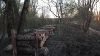 IMG-20210408-WA0004.jpg