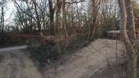 IMG-20210408-WA0005.jpg