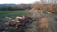 IMG-20210408-WA0007.jpg