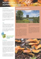 Newsletter_Copil_MAG_01_Seite_2.jpg