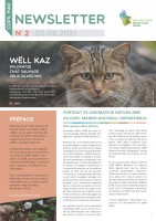 Newsletter_Copil_MAG_02_Seite_1.jpg