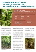 Newsletter_Copil_MAG_02_Seite_3.jpg