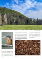 Newsletter_Copil_MAG_02_Seite_4.jpg