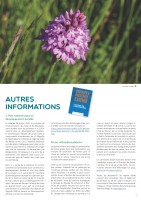 Newsletter_Copil_MAG_02_Seite_6.jpg