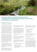 Newsletter_Copil_MAG_02_Seite_7.jpg