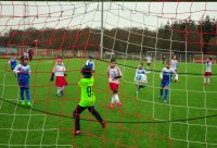 DSC_4434_Bildgröße ändern.jpg