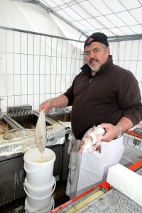 2016-02-10 Gebaacke Fesch FCM_05.jpg