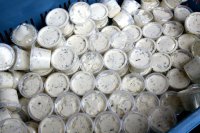 2016-02-10 Gebaacke Fesch FCM_19.jpg