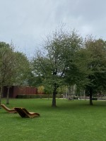 image00007.jpeg