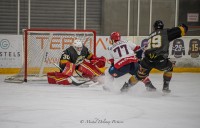 _GOL9549+++.jpg