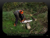 Folie14.JPG