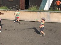 IMG_4972.jpg
