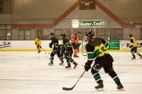 IMG_6947.jpg