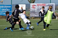 _DSC8205_DxO.png