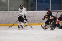 IMG_3134_copy_WEBSITE76953.jpg