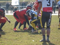 P10100810be71.jpg