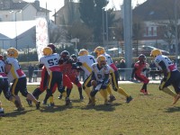 P10101039ff2d.jpg