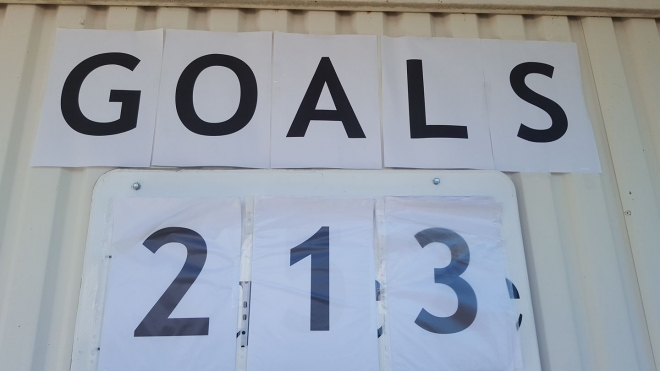 213 GOALER SI GEFALL