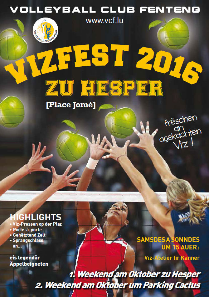 Vizfest 2016 1. & 2. W-E am Oktober