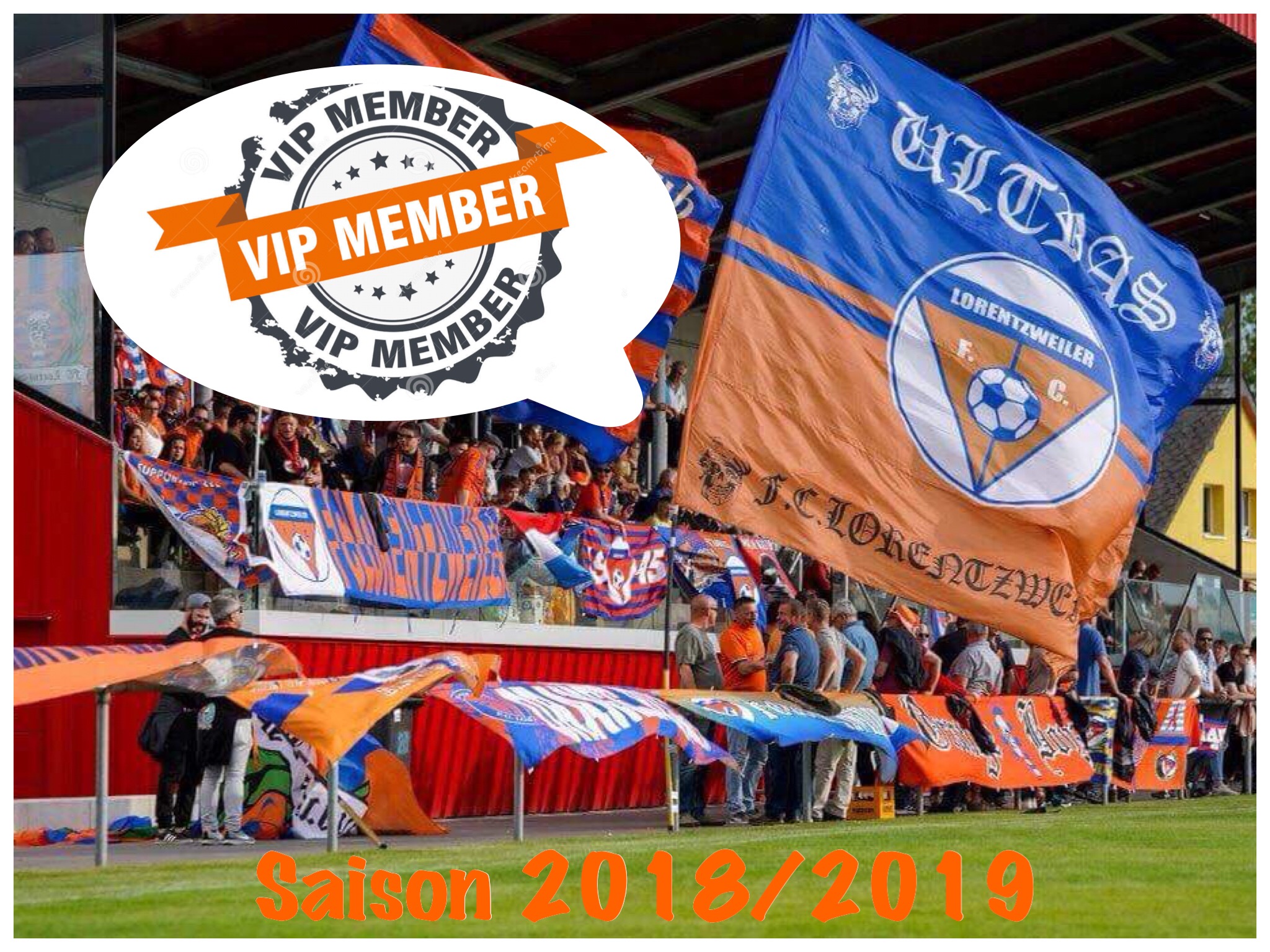 CARTE D’ABONNEMENT VIP – SAISON 2018/2019 CARTE D’ABONNEMENT VIP – SAISON 2018/2019
