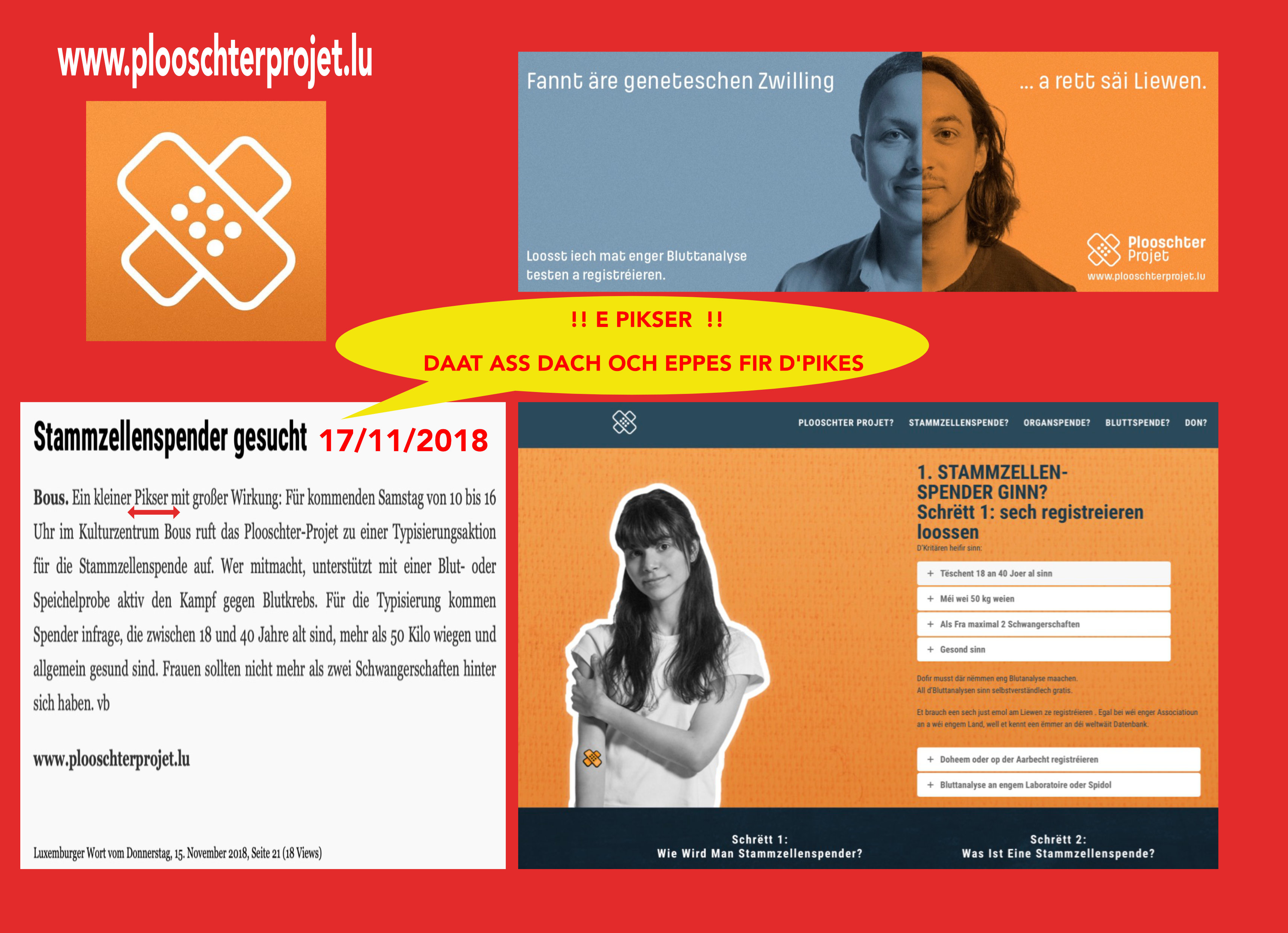 PLOOSCHTERPROJET PLOOSCHTERPROJET