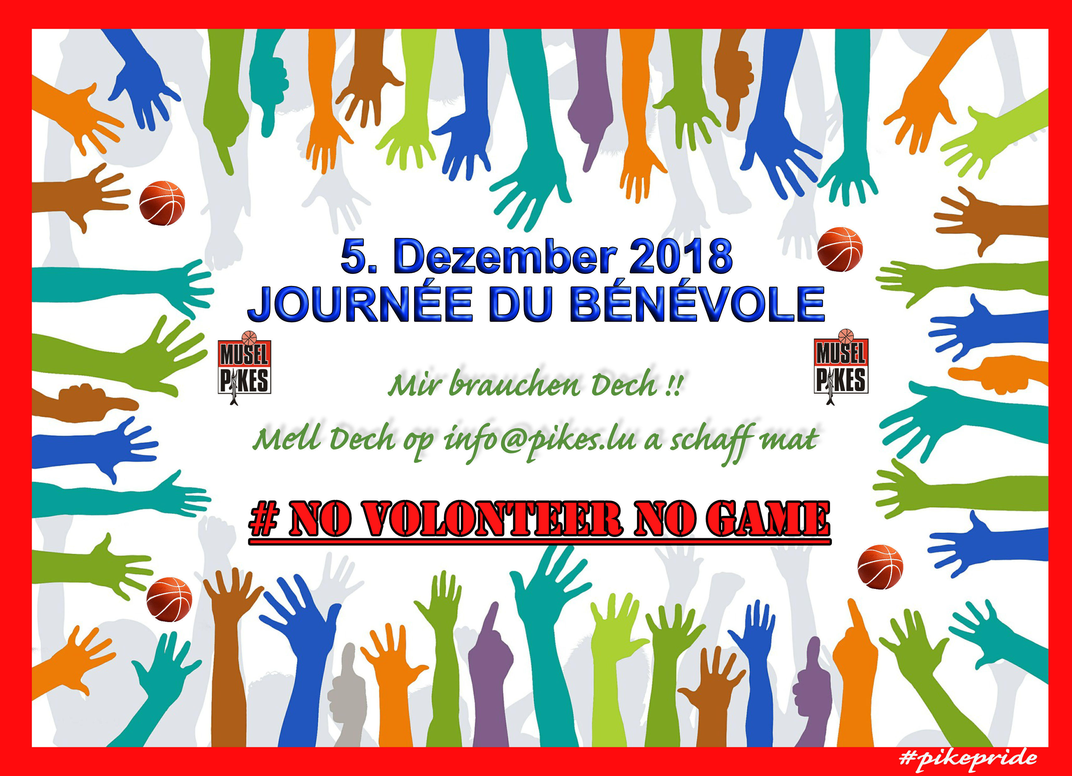 Journée du Bénévole