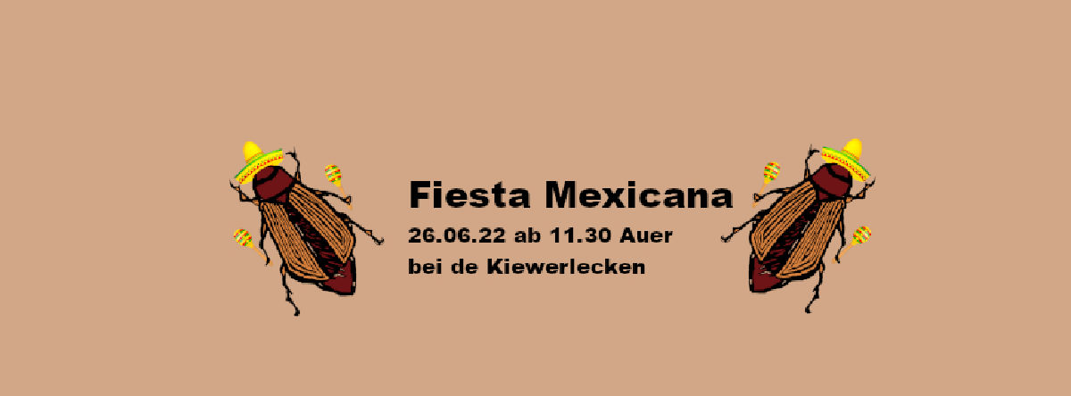 Scoutskiirmes - Fiesta Mexicana