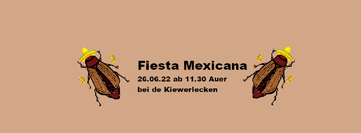 Scoutskiirmes - Fiesta Mexicana Scoutskiirmes - Fiesta Mexicana
