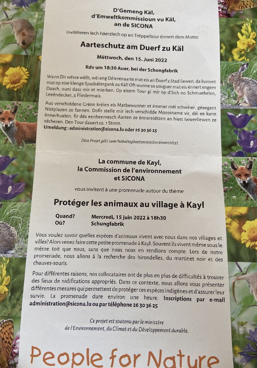 Commune Kayl-Commission de l‘Environnement-Sicona: Aarteschutz am Duerf zu Käl